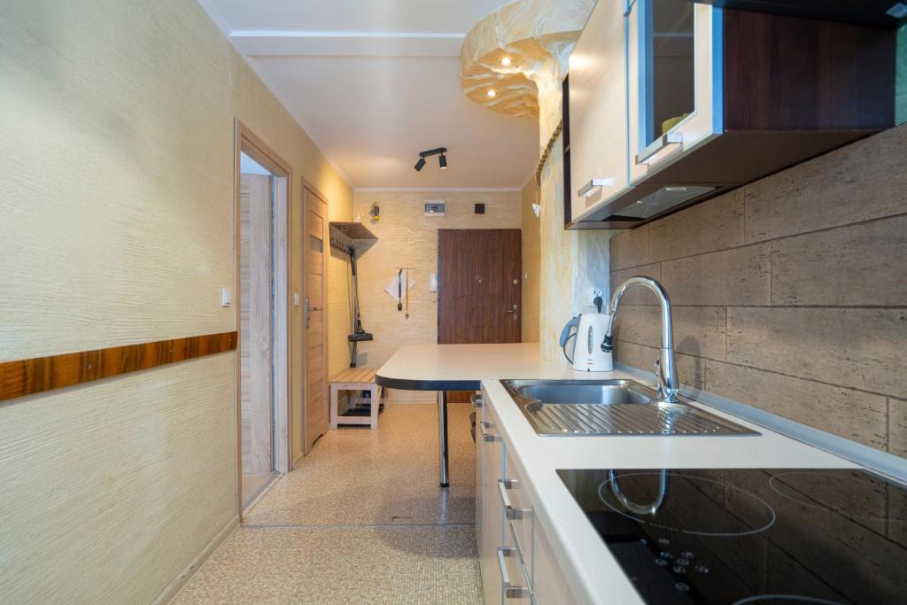 Kuchyňa alebo kuchynka v ubytovaní APARTAMENT NAD KAMIEŃCZYKIEM IV