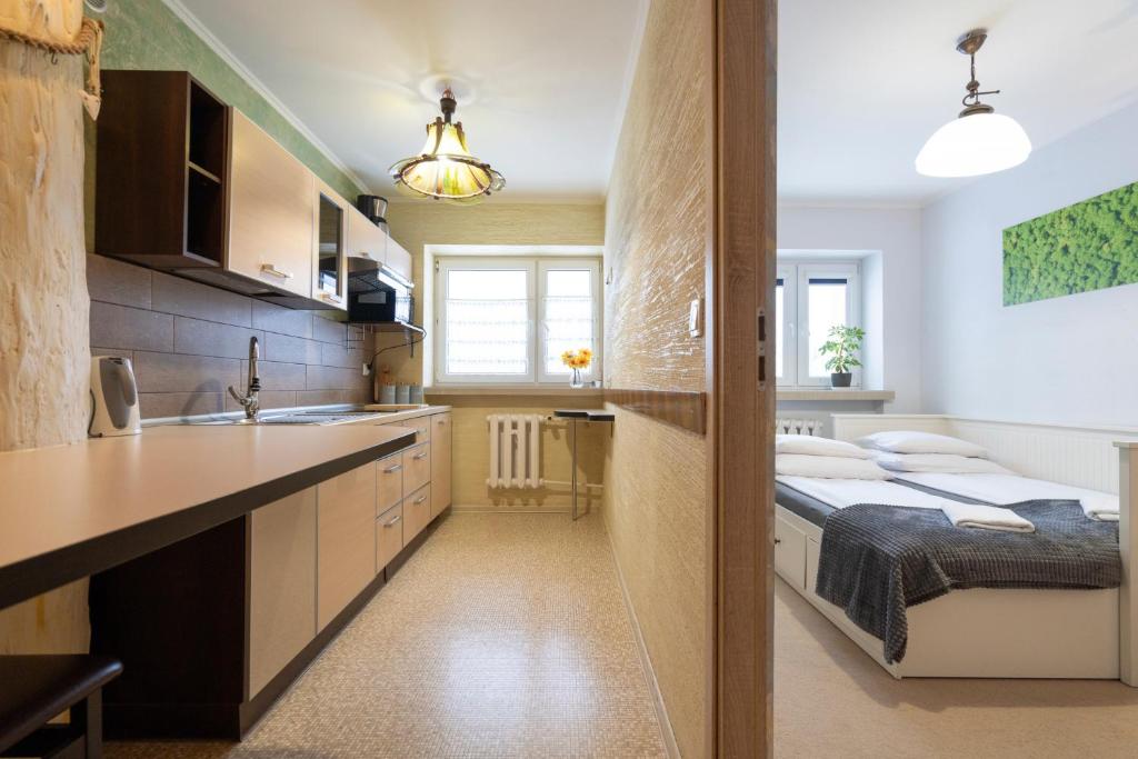 Kuchyňa alebo kuchynka v ubytovaní APARTAMENT NAD KAMIEŃCZYKIEM IV
