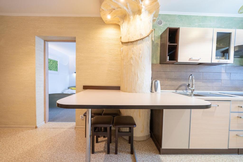 Kuchyňa alebo kuchynka v ubytovaní APARTAMENT NAD KAMIEŃCZYKIEM IV