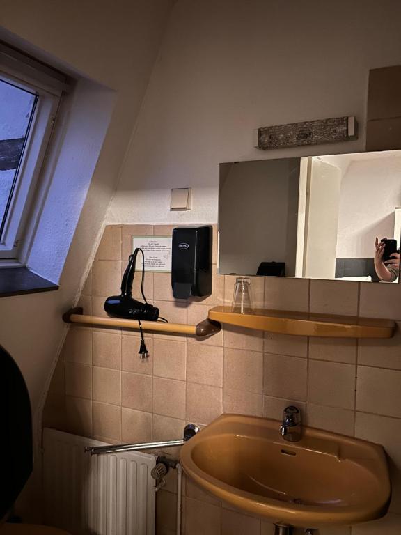 Alte Schlosskurve Hotel - Single Room With Garden View