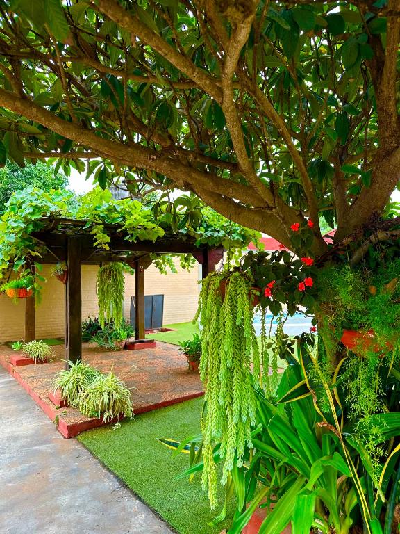 Zahrada ubytování Apartamento con piscina, terraza y parking en las cercanías de Asunción
