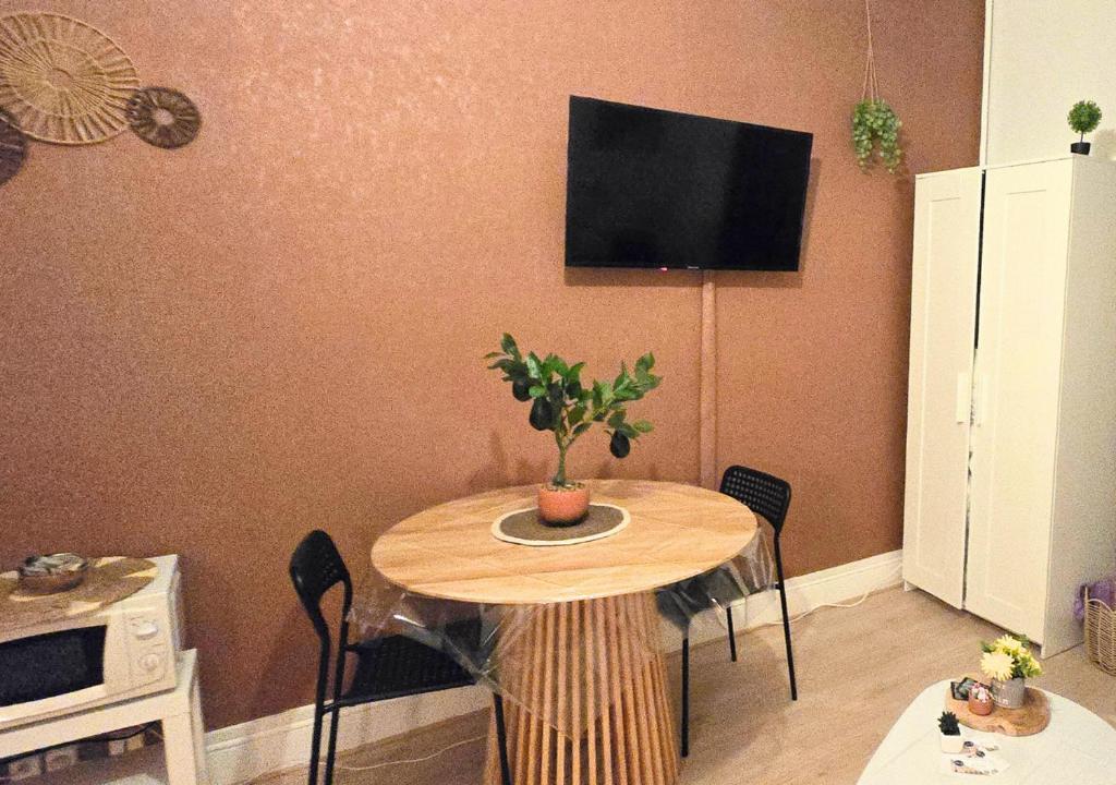 une table avec une plante en pot dans une cuisine dans l'établissement Le #2 Terracotta - Hypercentre, à Tours