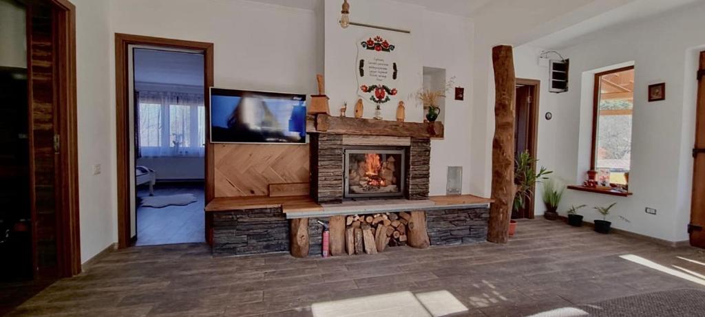 TV a/nebo společenská místnost v ubytování Rustic Dreams-Dobolii de Sus