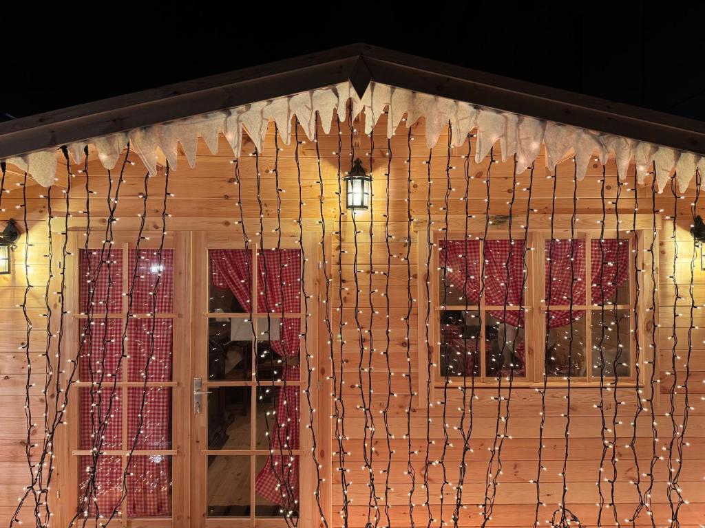 Nash Airport Hotel - Resim 33