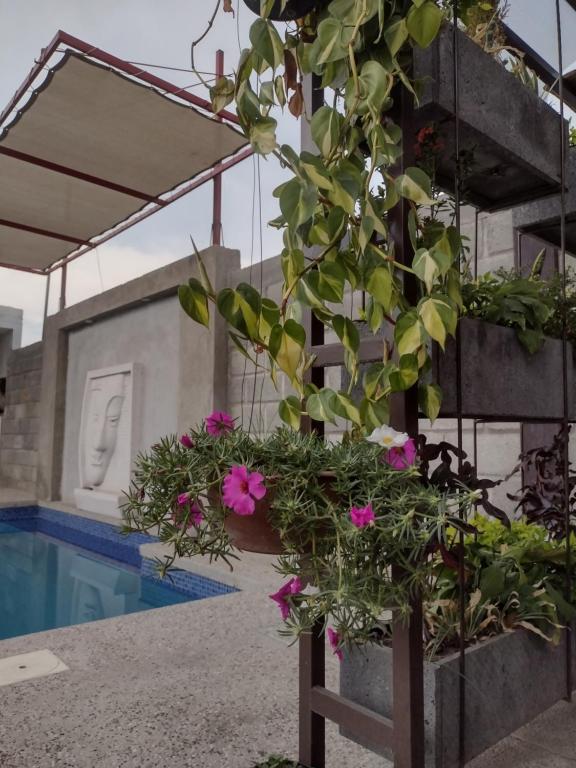 Piscina di Aldea Xochi cabañas o nelle vicinanze