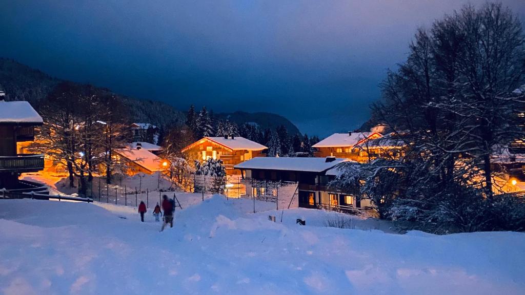 Un groupe de personnes skier dans la neige la nuit dans l'établissement Appartement 3 chambres au doux soleil, aux Gets