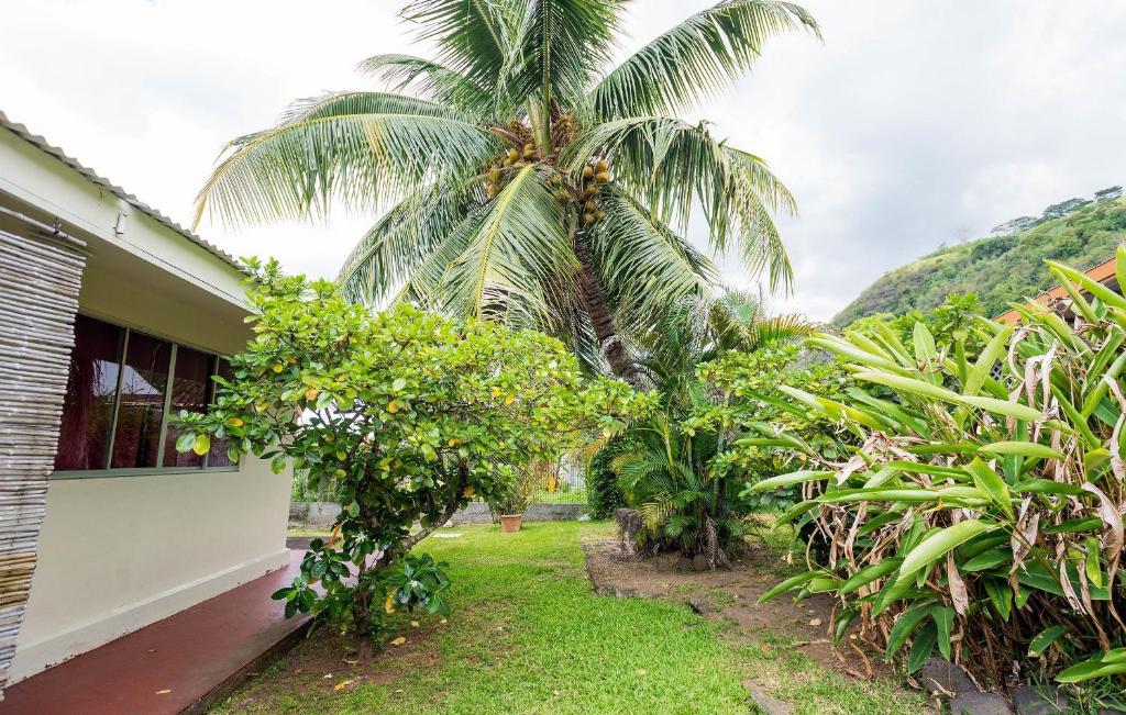 Zahrada ubytování Pension TE MITI - PLAGE-BEACH 200m - Mahana Parc & Vaiava Beach pk18 - B&B CHAMBRES ou DORTOIR