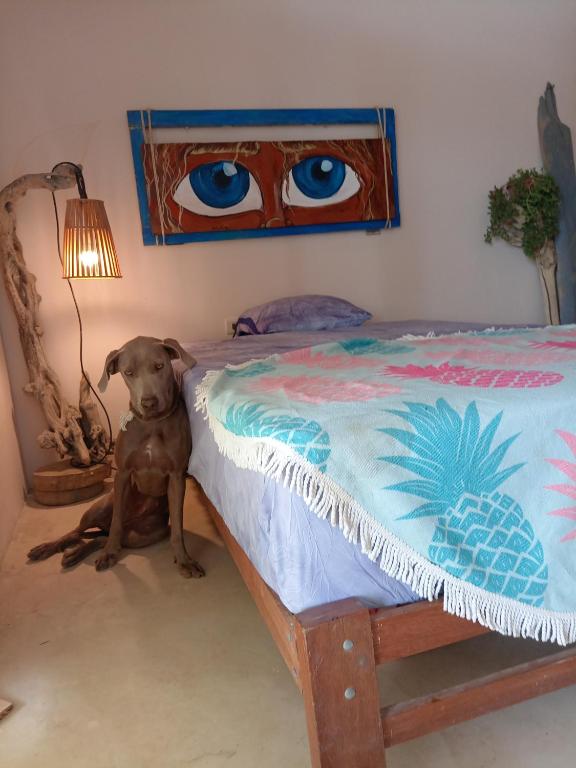 Postel nebo postele na pokoji v ubytování Punta Vichayo - Casa Ballenas