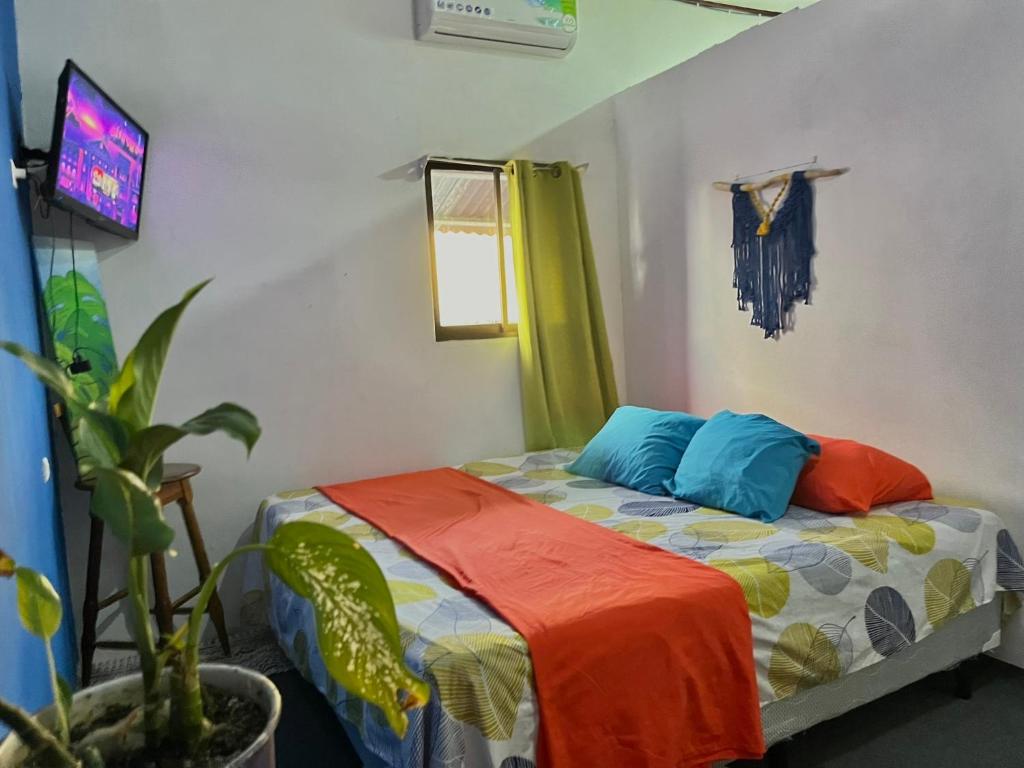 Postel nebo postele na pokoji v ubytování Passifloras Hostel