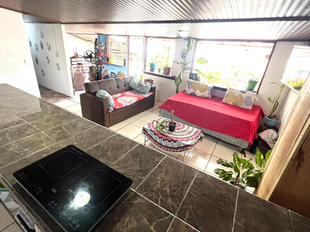 Posezení v ubytování Passifloras Hostel