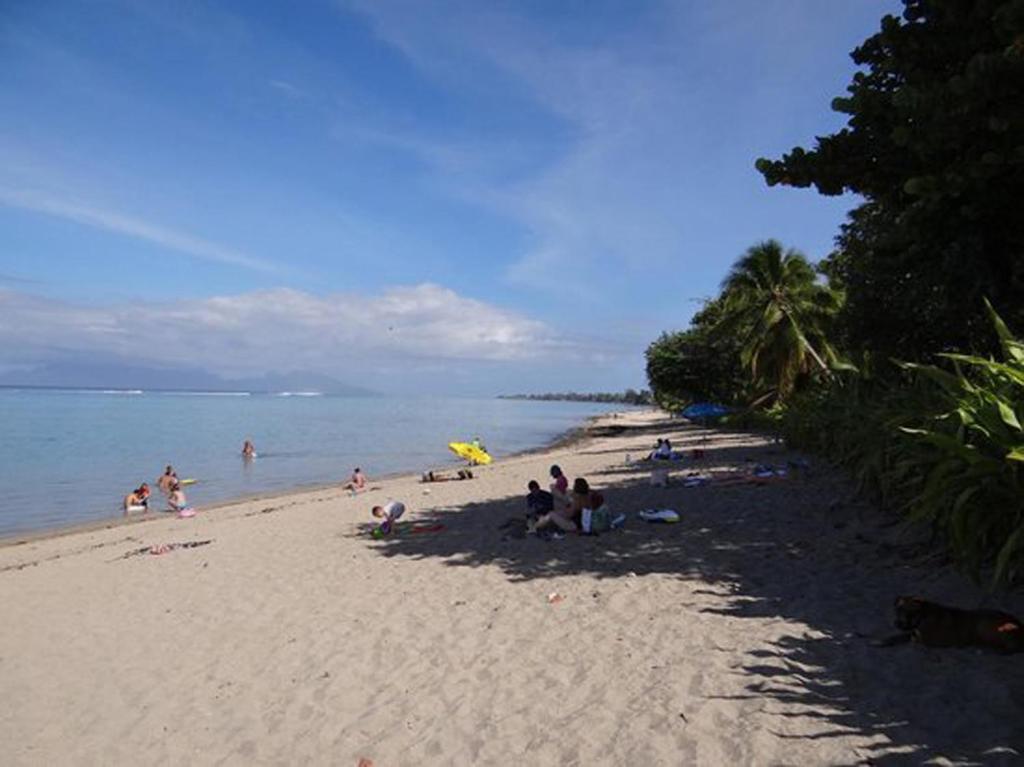 PENSION TE MITI hebergement touristique TAHITI - plage a 200m - photo 9 - Tahiti, Polynésie