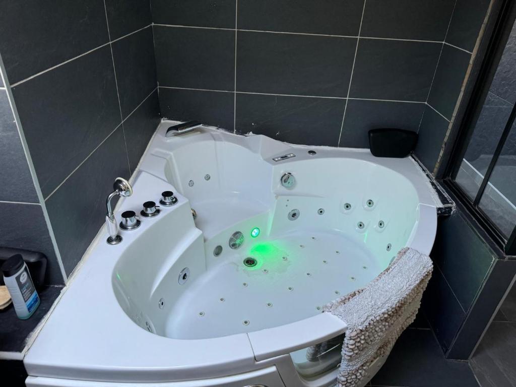 Fotografie z fotogalerie ubytování Le spa des canuts v destinaci Caluire-et-Cuire