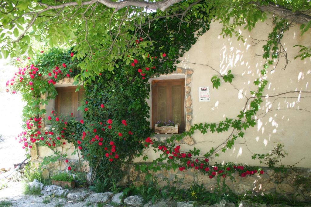 A garden outside Casas Rurales Los Enebros Nerpio