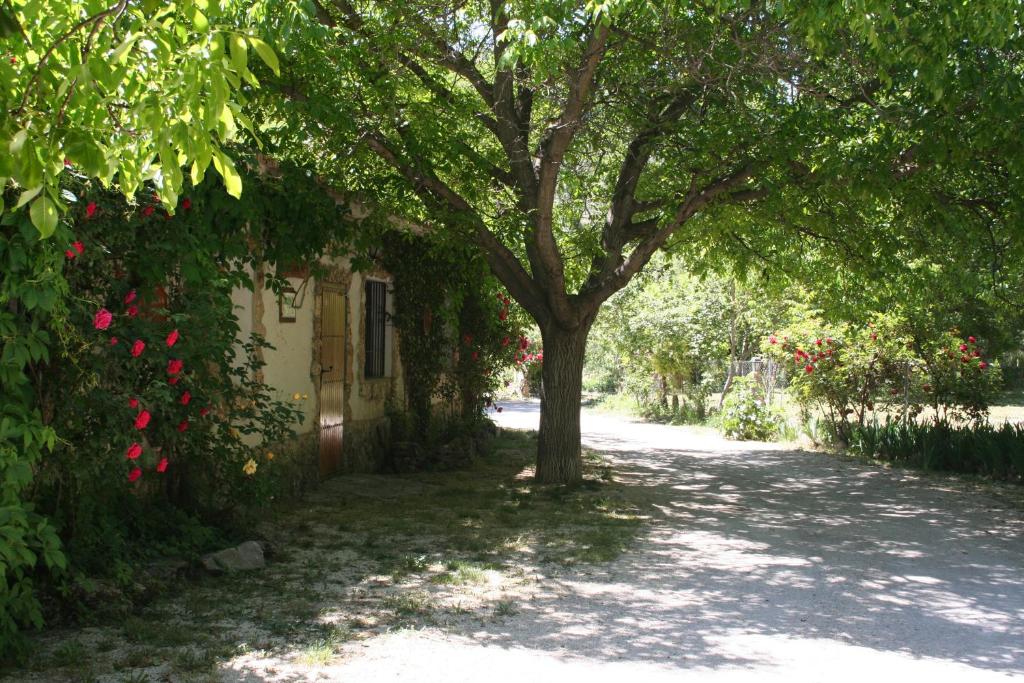 A garden outside Casas Rurales Los Enebros Nerpio