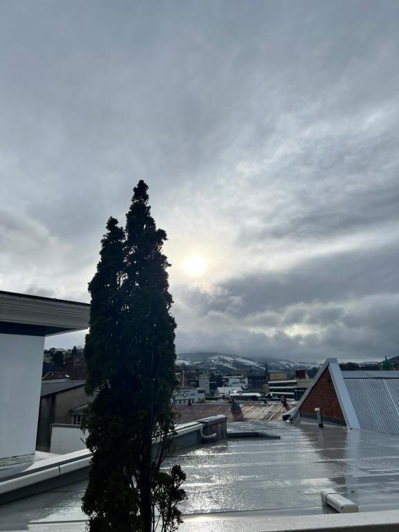 On Top Backpackers - Resim 43