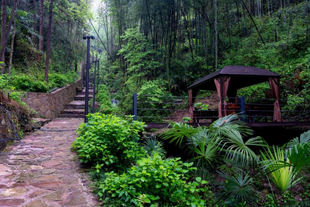 Zhangjiajie Rock language art hotel-Free pick up service外面的花园