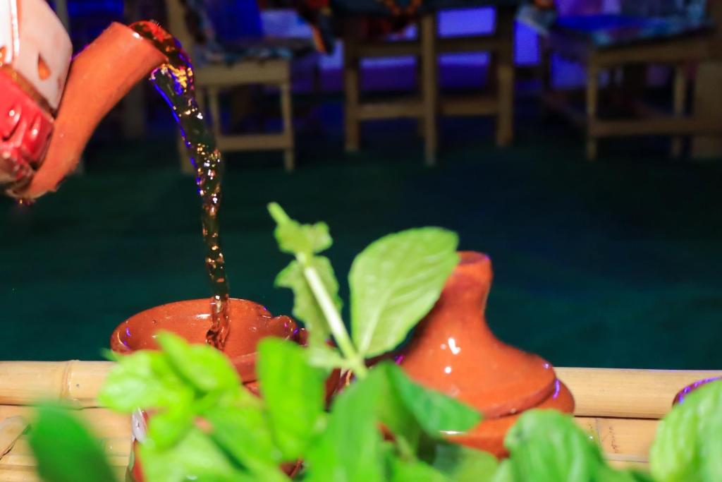 Fotografie z fotogalerie ubytování BAYT ZAINA - Nubian hospitality house v destinaci Asuán