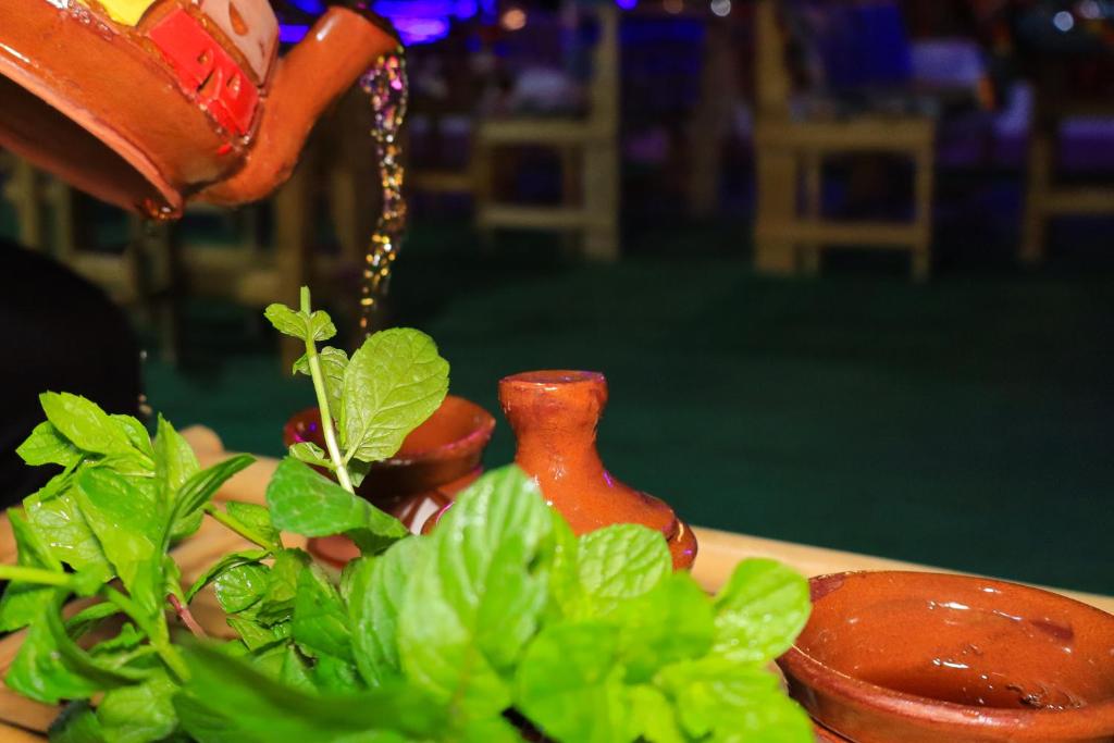 Fotografie z fotogalerie ubytování BAYT ZAINA - Nubian hospitality house v destinaci Asuán