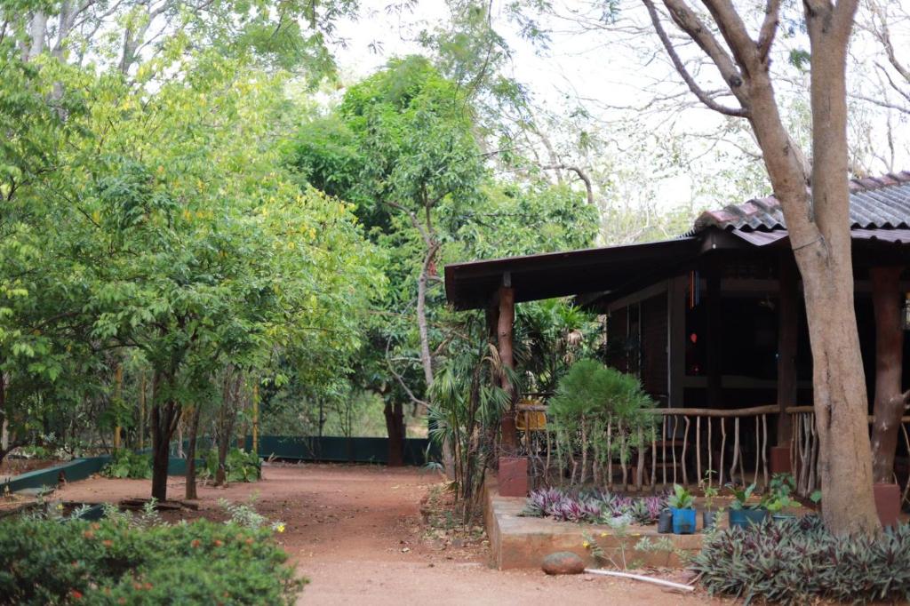 Zahrada ubytování Kings Rest Sigiriya
