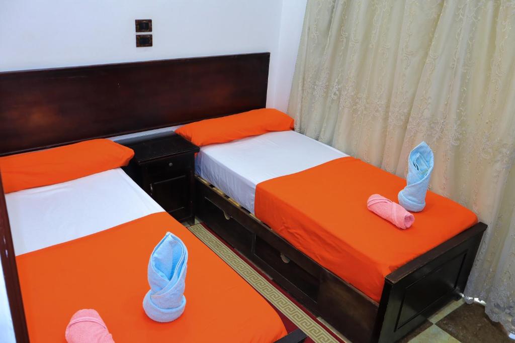 Fotografie z fotogalerie ubytování BAYT ZAINA - Nubian hospitality house v destinaci Asuán