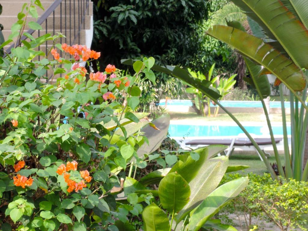 Bazén v ubytování Mango Spa & Resort nebo v jeho okolí