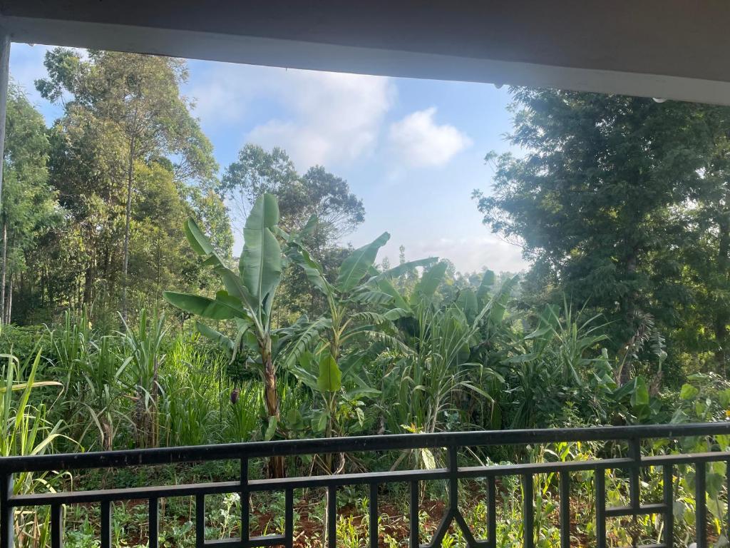 a view of a forest from a balcony at Aberdare Home in Othaya