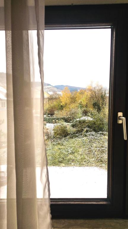Příroda nedaleko hotelu