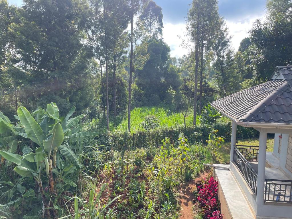 a garden in front of a house with trees at Aberdare Home in Othaya