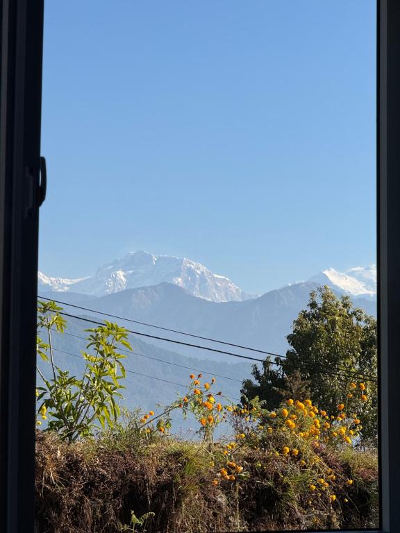 Paesaggio naturale nelle vicinanze dell'affittacamere