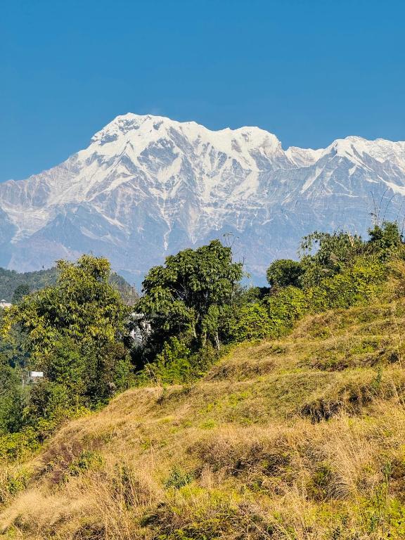 Paesaggio naturale nelle vicinanze dell'affittacamere
