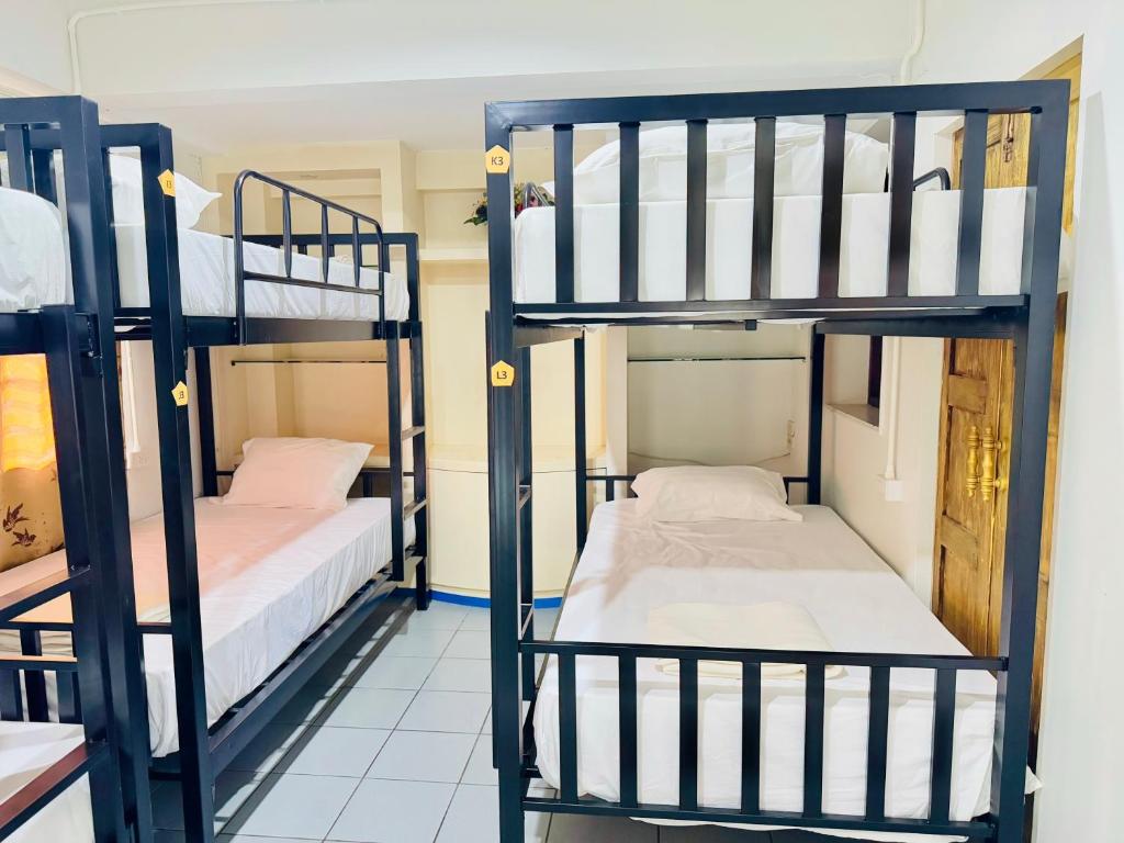 
Bed in 6-Bed Mixed Dormitory Room
