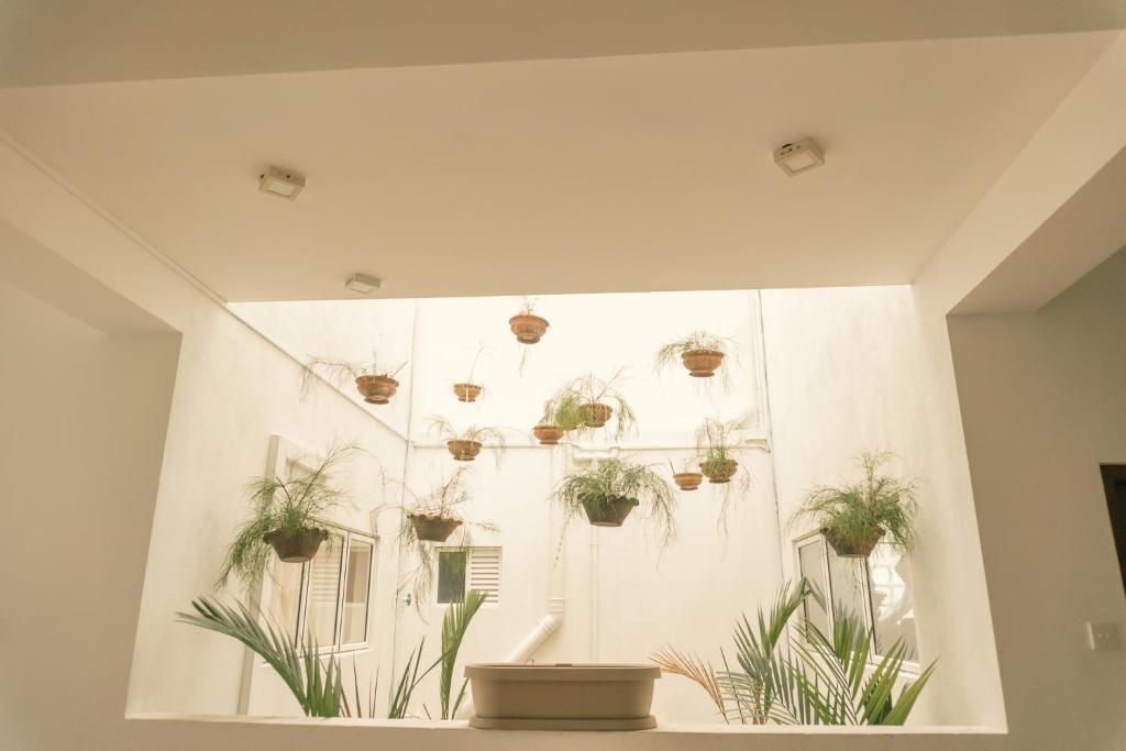 Foto dalla galleria di R2 Guest - HIKKADUWA a Hikkaduwa
