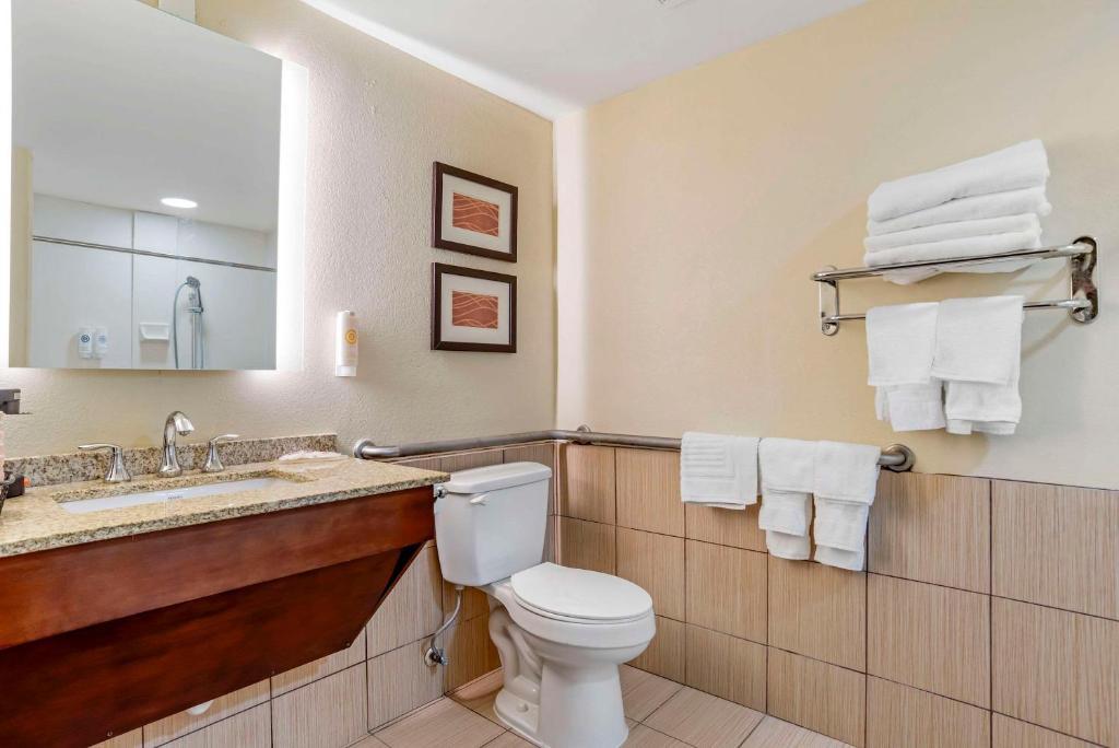 Comfort Inn Opelika - Auburn - King Room - Toegankelijk/niet Roken