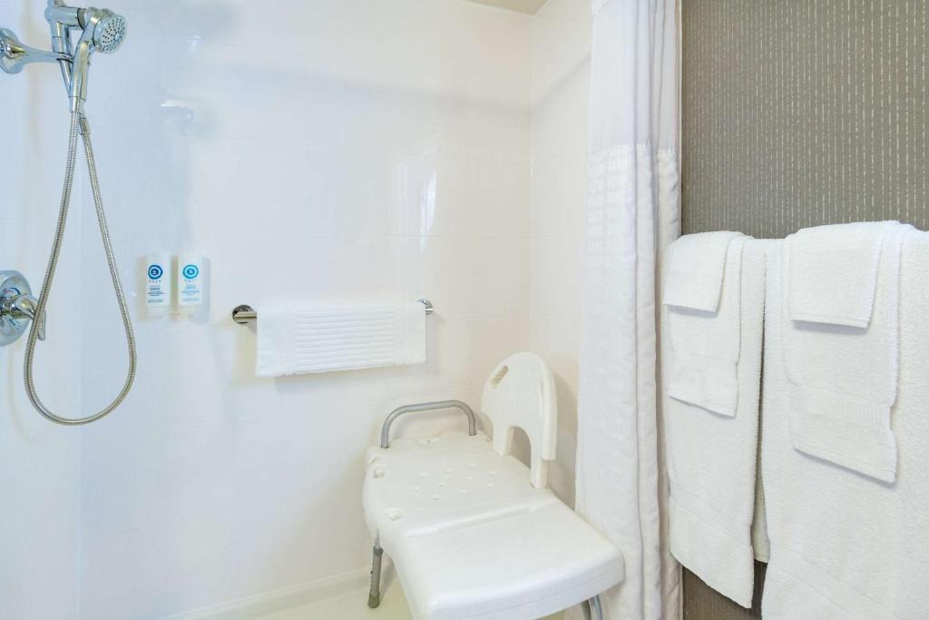 Koupelna v ubytování Comfort Inn Hwy 401