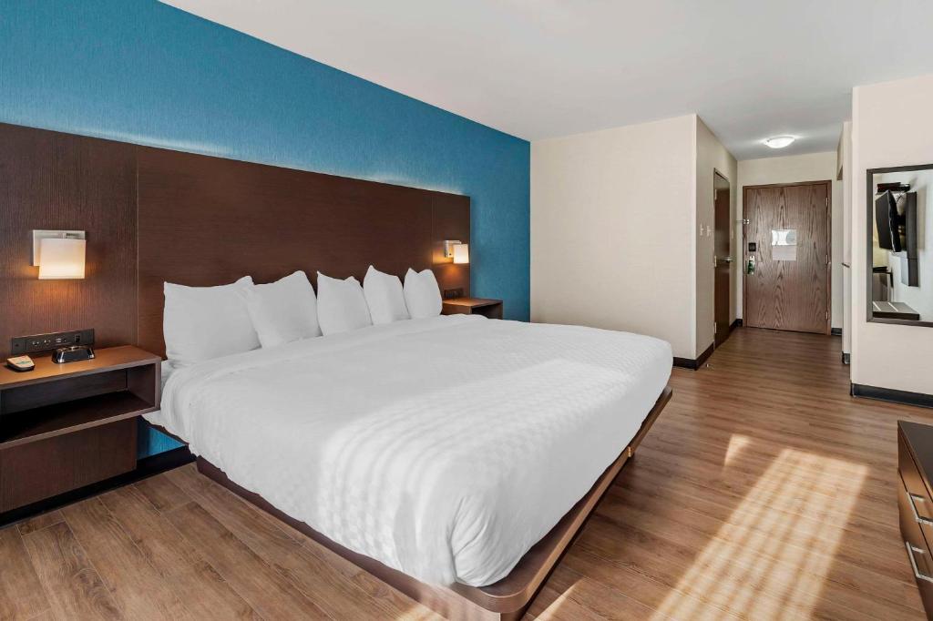 Quality Inn - Resim 30