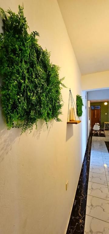 Fotografie z fotogalerie ubytování Kian Nest v destinaci Mombasa