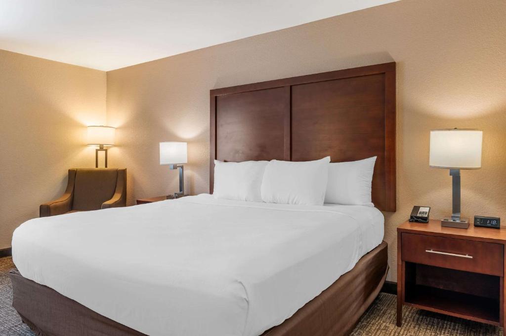 Comfort Inn Lafayette I-65 - King Room - Niet Roken
