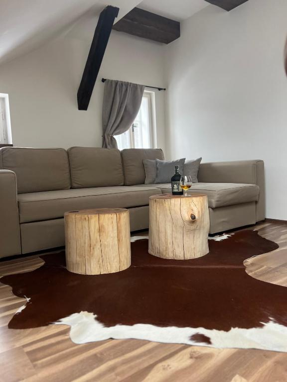 Hotel Lomnice - Resim 20