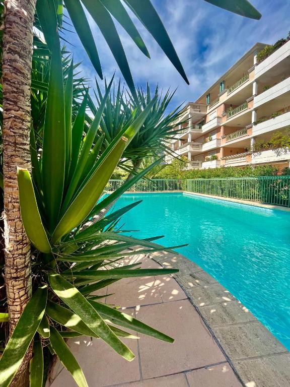 un palmier à côté d'une piscine à côté d'un bâtiment dans l'établissement Appartement exceptionnel aux portes de la Méditerrannée, à Hyères