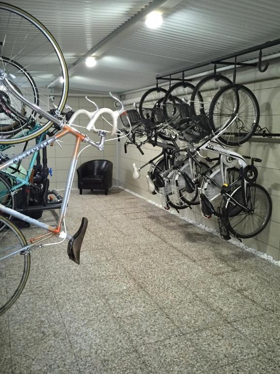Jízda na kole v ubytování Residence Segattini nebo okolí