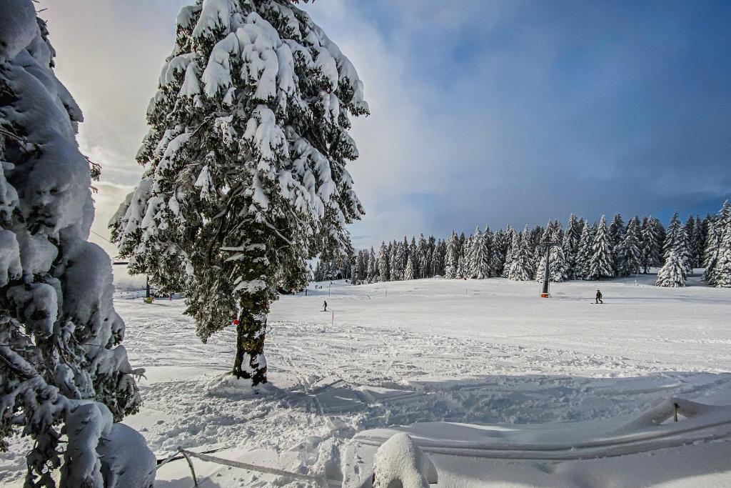 Panorama Krvavec Ski-in, Ski-out v zimě