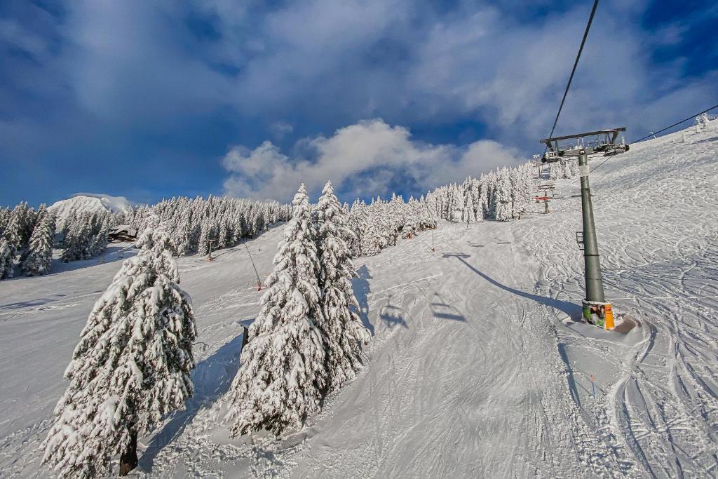 Panorama Krvavec Ski-in, Ski-out v zimě
