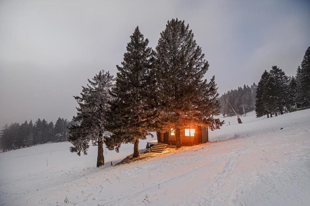 Panorama Krvavec Ski-in, Ski-out v zimě