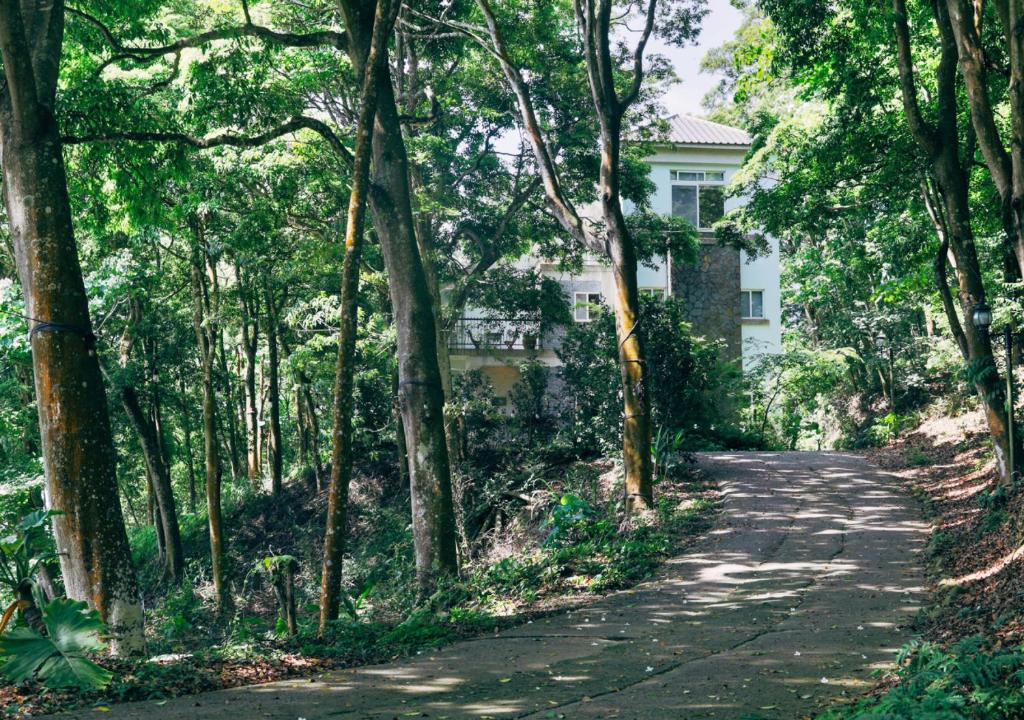 尋路苗栗綠波浪評價、特色體驗、包棟住宿、房價資訊 – 森林親子包棟民宿 - 照片 4