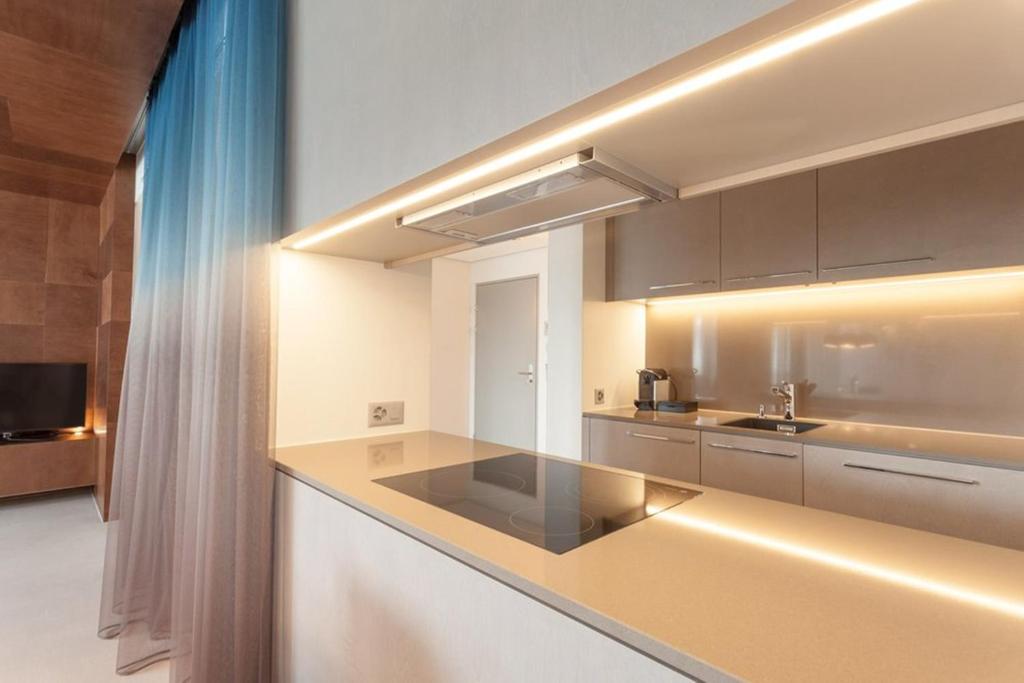 Kuchyň nebo kuchyňský kout v ubytování EMA House Hotel Suites