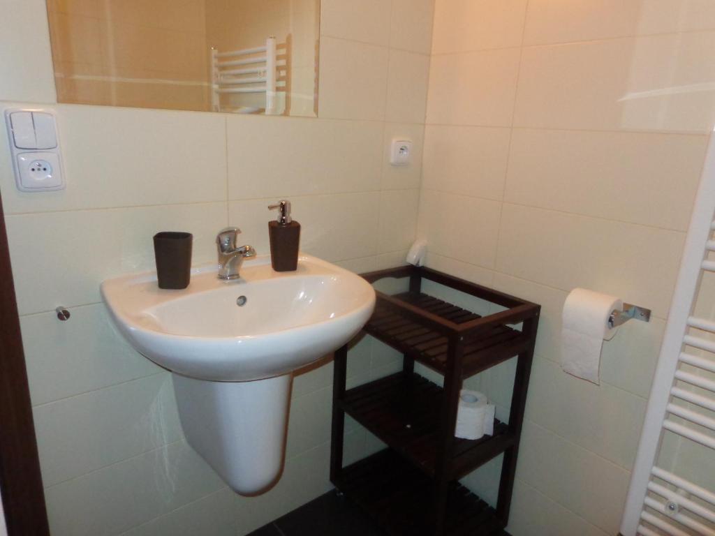 Koupelna v ubytování Apartmán Bára