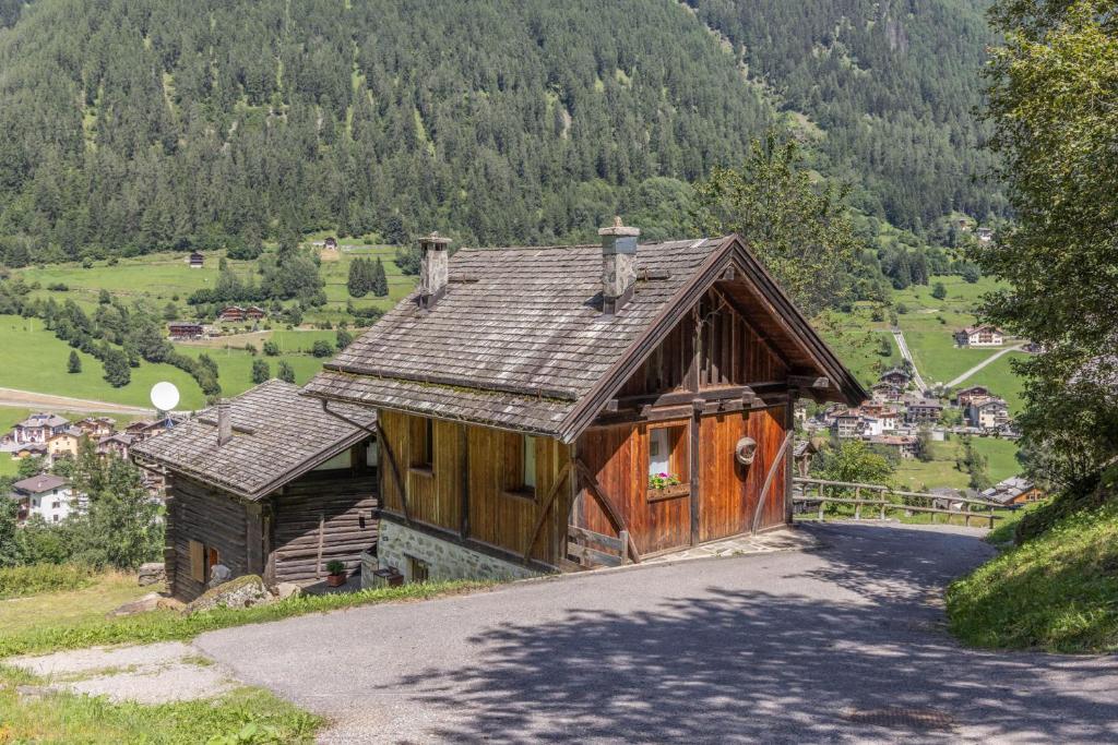Príroda v okolí horskej chaty
