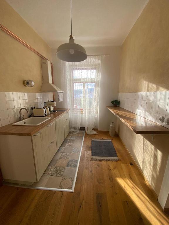 Kuchyň nebo kuchyňský kout v ubytování Apartmány v pivovaru