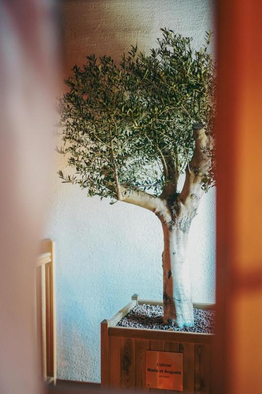 Fotografie z fotogalerie ubytování Auberge chez Mado et Augusta v destinaci Sainte-Foy-Tarentaise