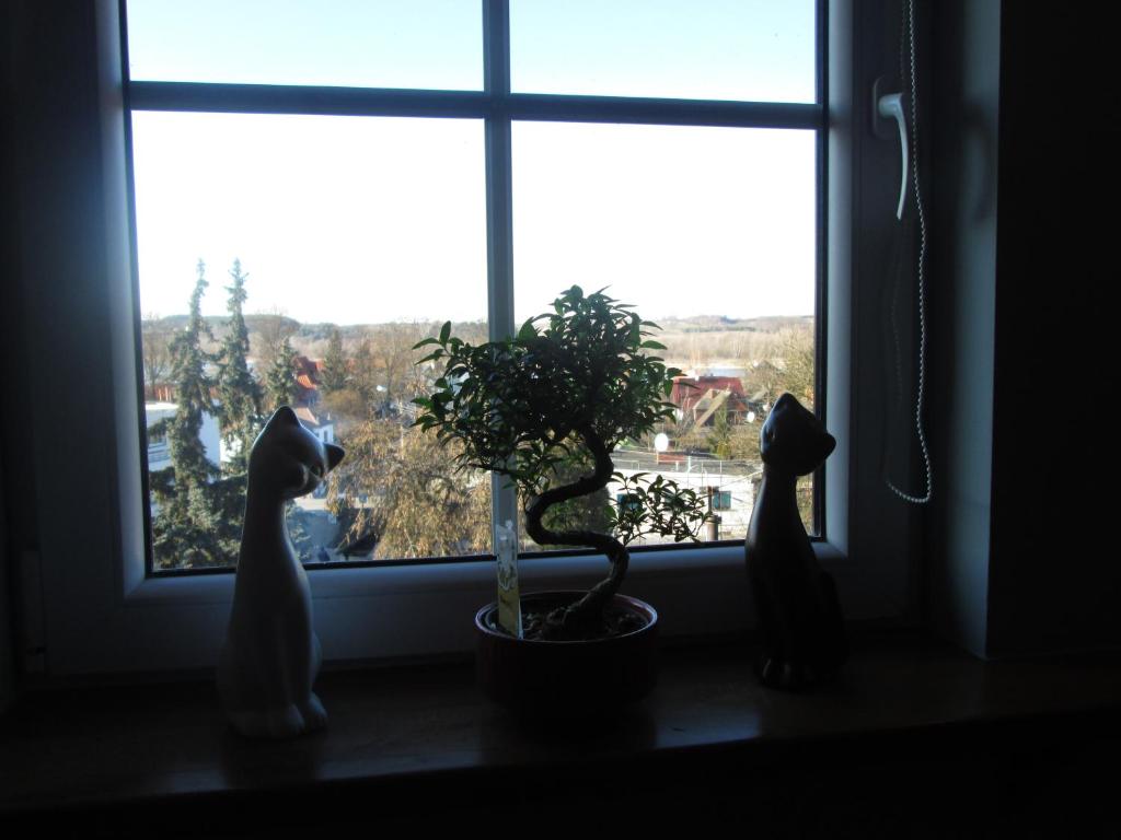 Príroda v okolí apartmánu